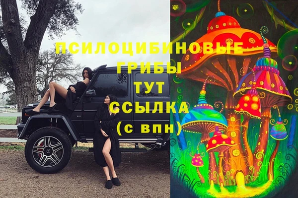 дживик Абинск