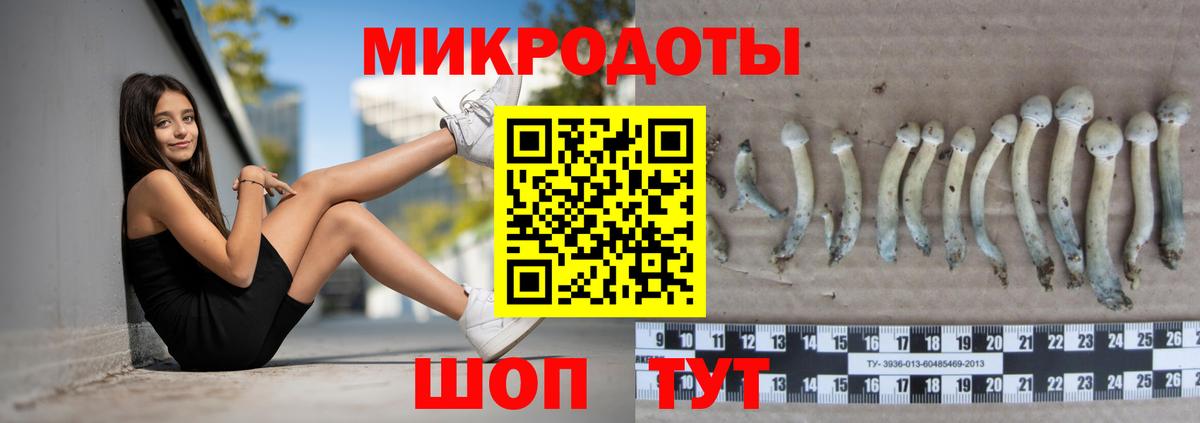 Псилоцибиновые грибы прущие грибы Кизилюрт