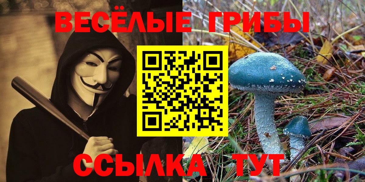 Псилоцибиновые грибы ЛСД  Вход с VPN  Галлюциногенные грибы Psilocybine cubensis  Кизилюрт 